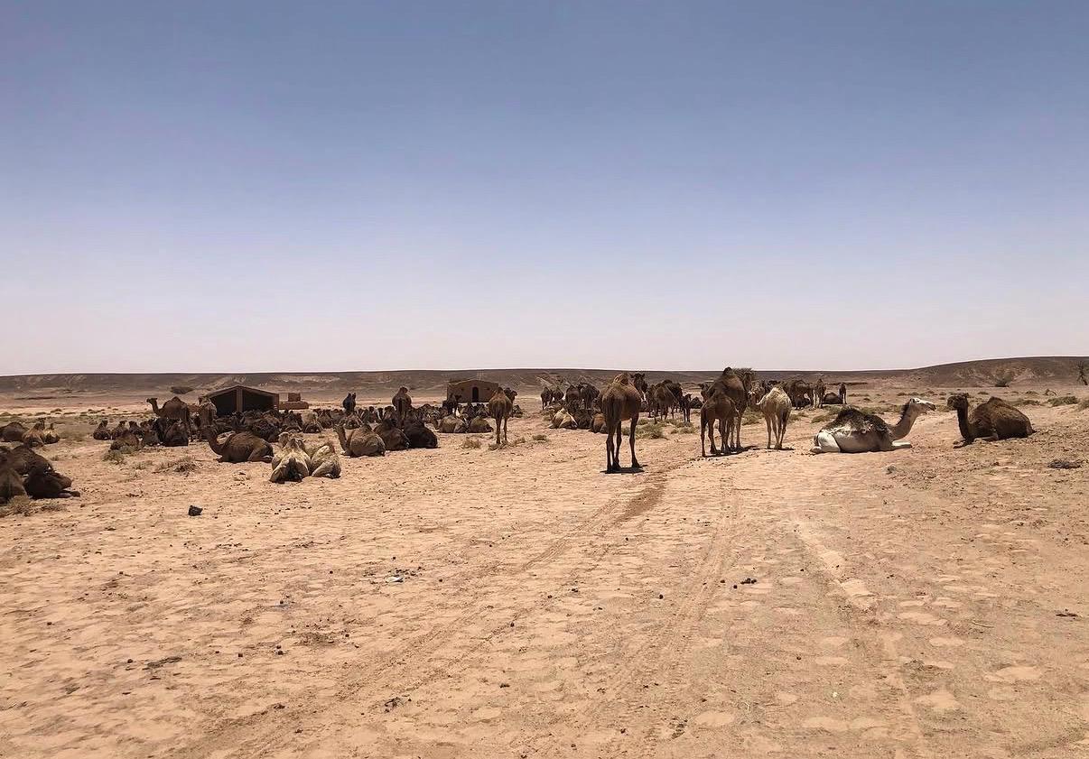 Desierto de Chegaga