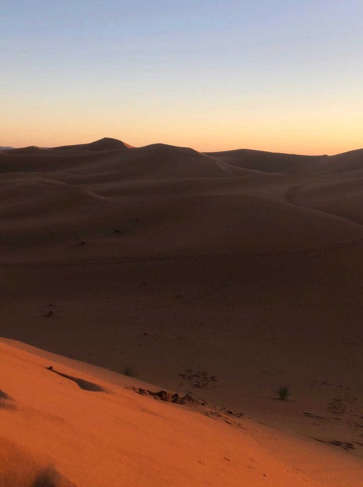 Dunas del Sahara